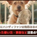 「犬にハンディファンは効果あるの？」間違った使い方・事故など注意点を紹介