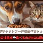 「犬がキャットフードを食べちゃった！」食べた後の注意点や食べるのがNGな理由を解説