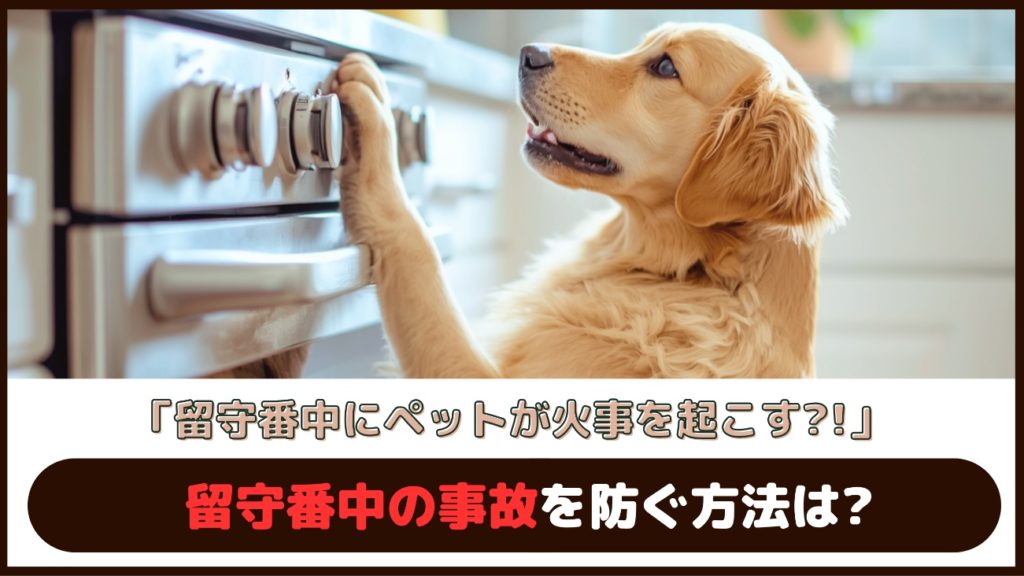 「留守番中にペットが火事を起こす?!」留守番中の事故を防ぐ方法は？