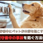 「留守番中にペットが火事を起こす?!」留守番中の事故を防ぐ方法は？