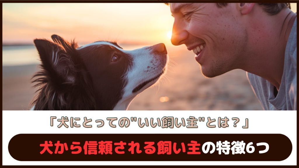「犬にとっての”いい飼い主”とは？」犬から信頼される飼い主の特徴6つ