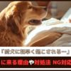 「愛犬に朝早く起こされる…」起こしに来る理由や対処法、NG対応を紹介