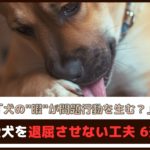「犬の”暇”が問題行動を生む？」愛犬を退屈させない工夫6選