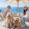 神奈川のオーシャンビュー×愛犬OKカフェ＆レストラン6選【湘南・鎌倉・葉山】