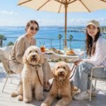 神奈川のオーシャンビュー×愛犬OKカフェ＆レストラン6選【湘南・鎌倉・葉山】