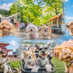 2026年6月開催！関西近郊の愛犬イベント11選【大阪・京都・兵庫・奈良・滋賀】
