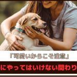 「可愛いからこそ注意」子犬期にやってはいけない関わり方5選