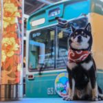 犬と一緒に電車に乗ることは可能？鉄道各社のルールから料金、利用する時の注意点までご紹介！