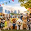 2026年6月開催！愛犬と楽しめる関東近郊のドッグイベント12選【東京・神奈川・千葉ほか】