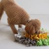 犬に知育トイは必要？必要性から機能・コスパ性最高のニトリ知育トイグッズ3選をご紹介！