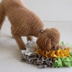 犬に知育トイは必要？必要性から機能・コスパ性最高のニトリ知育トイグッズ3選をご紹介！