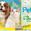 【Pet博2026幕張】16年ぶりに愛犬と体験レポート！ペットアイテム最新情報や次回開催情報も解説！
