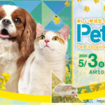 【Pet博2026幕張】16年ぶりに愛犬と体験レポート！ペットアイテム最新情報や次回開催情報も解説！