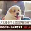 【犬と暮らすと毎日が変わる？】犬を飼い始めた飼い主が実感する“うれしい変化“7つ