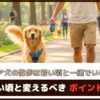 【シニア犬の散歩は若い頃と一緒でいいの？】若い頃と変えるべきポイント5つ