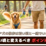 【シニア犬の散歩は若い頃と一緒でいいの？】若い頃と変えるべきポイント5つ