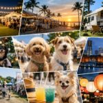 【2026年7月版】関東近郊の犬イベント12選！夏のナイトマルシェやドッグフェスタを愛犬と満喫しよう