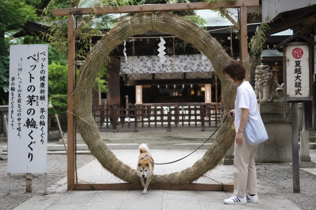 夏越の祓えはペット専用茅の輪くぐりで決まり！半年の穢れを愛犬と祓える神社4選！＜関東編＞
