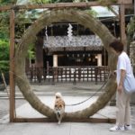 夏越の祓えはペット専用茅の輪くぐりで決まり！半年の穢れを愛犬と祓える神社4選！＜関東編＞