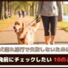 「犬連れ旅行で失敗しないために」出発前にチェックしたい10のこと