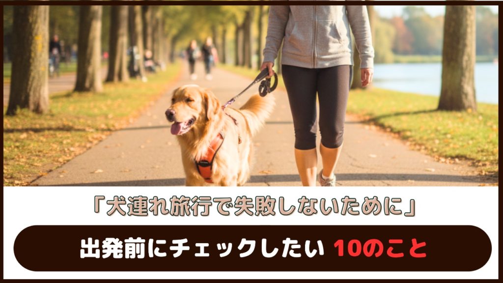 「犬連れ旅行で失敗しないために」出発前にチェックしたい10のこと