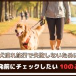 「犬連れ旅行で失敗しないために」出発前にチェックしたい10のこと