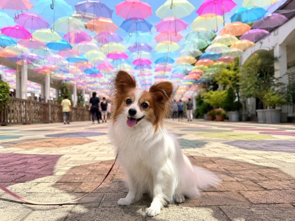 梅雨でも愛犬と楽しめる！映え確必至のアンブレラスカイスポット5選！＜全国編＞