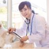 犬の不整脈ってどんなもの？主な特徴や症状、原因、検査方法や治療法を解説！