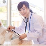 犬の不整脈ってどんなもの？主な特徴や症状、原因、検査方法や治療法を解説！
