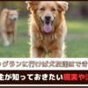 「ドッグランに行けば犬友達はできる？」飼い主が知っておきたい現実や注意点