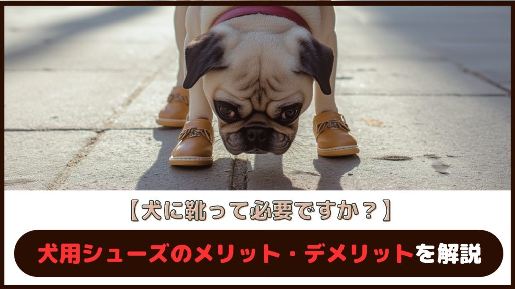 【犬に靴って必要ですか？】犬用シューズのメリット・デメリットを解説