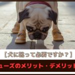 【犬に靴って必要ですか？】犬用シューズのメリット・デメリットを解説
