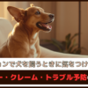 「マンションで犬を飼うときに気をつけたいこと」マナー・クレーム・トラブル予防のコツ