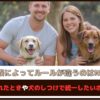「家族によってルールが違うのはNG？」意見が割れたときや犬のしつけで統一したいポイントは？