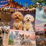 【2026年8月版】関東近郊の犬イベント9選！夏のナイトイベントやドッグフェスタを愛犬と楽しもう