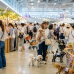 【2026年8月】関西・中国・東海のペットイベント9選！愛犬と夏を満喫