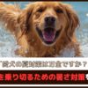 「愛犬の夏対策は万全ですか？」猛暑を乗り切るための暑さ対策を紹介