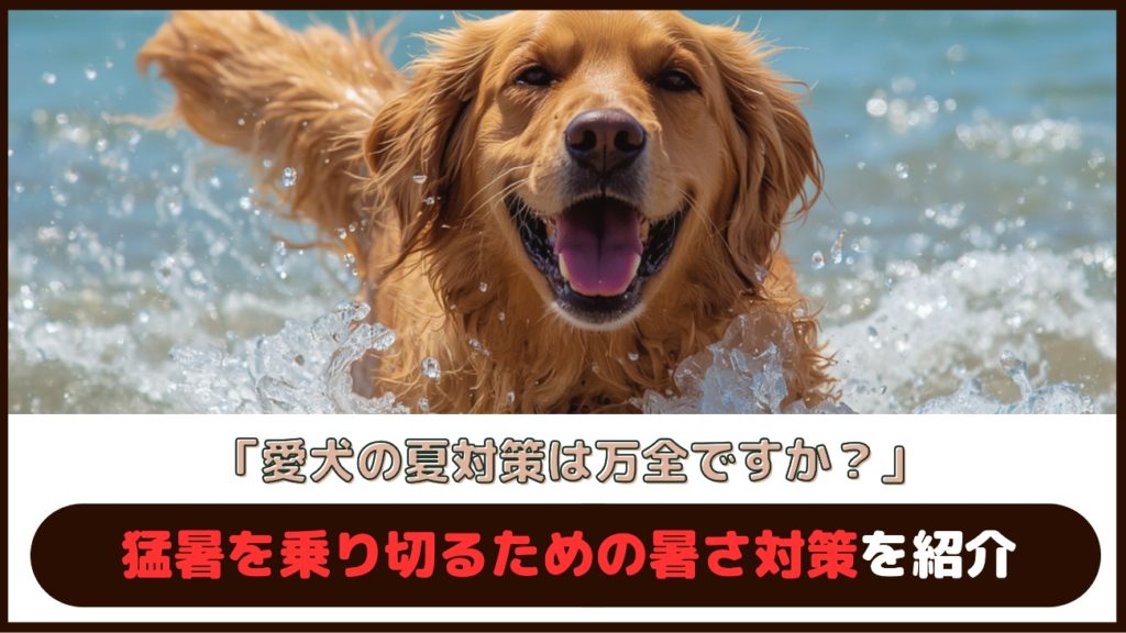 「愛犬の夏対策は万全ですか？」猛暑を乗り切るための暑さ対策を紹介