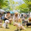 【2026年9月】九州のドッグイベント5選！愛犬と楽しめるマルシェ＆フェスタ