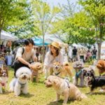 【2026年9月】九州のドッグイベント5選！愛犬と楽しめるマルシェ＆フェスタ