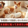 「多頭飼いで後悔しないために」迎える前に知っておきたい現実