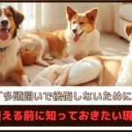 「多頭飼いで後悔しないために」迎える前に知っておきたい現実