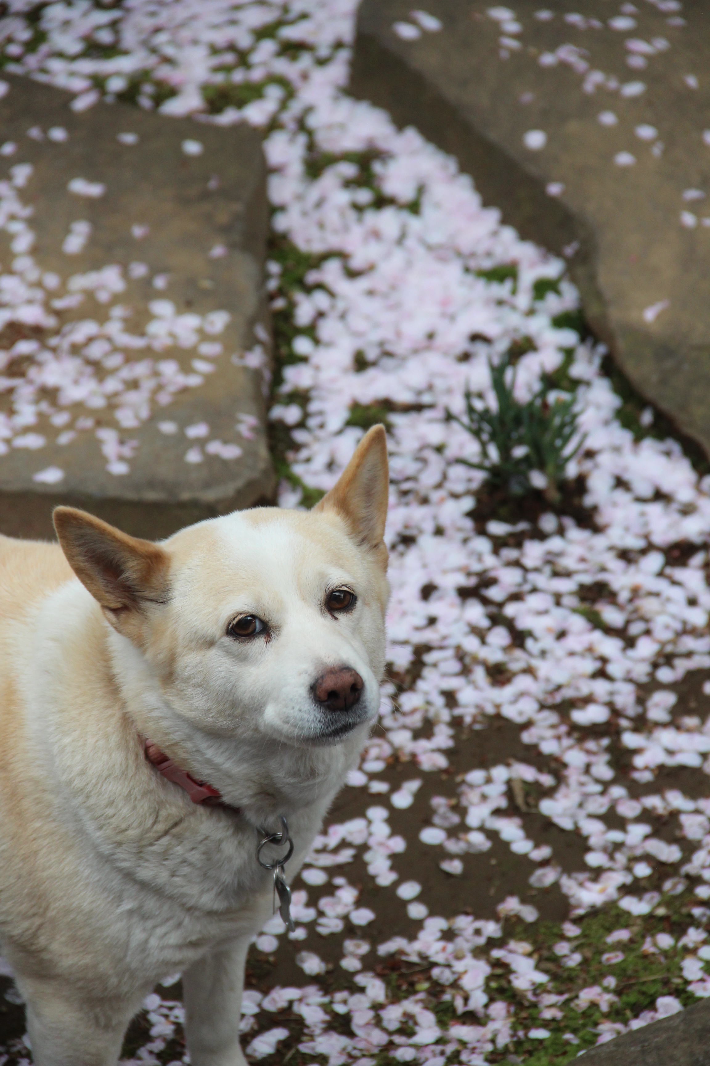 かわいい瞬間がたくさん・・・♪