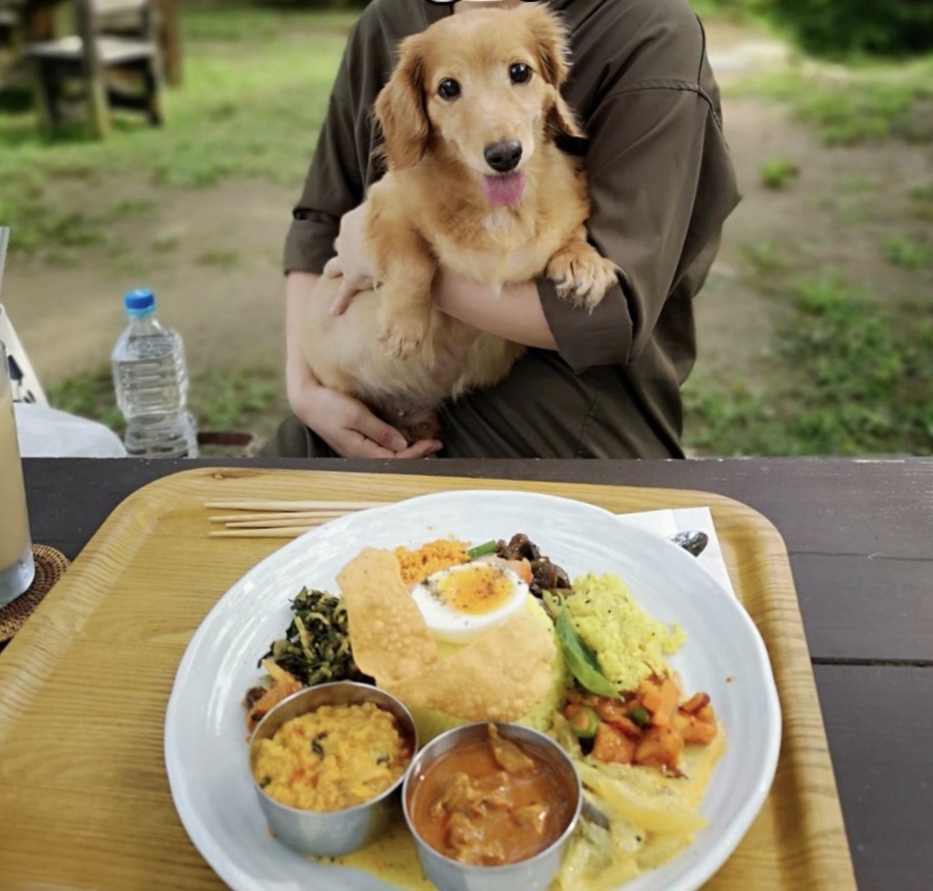 お外でランチ