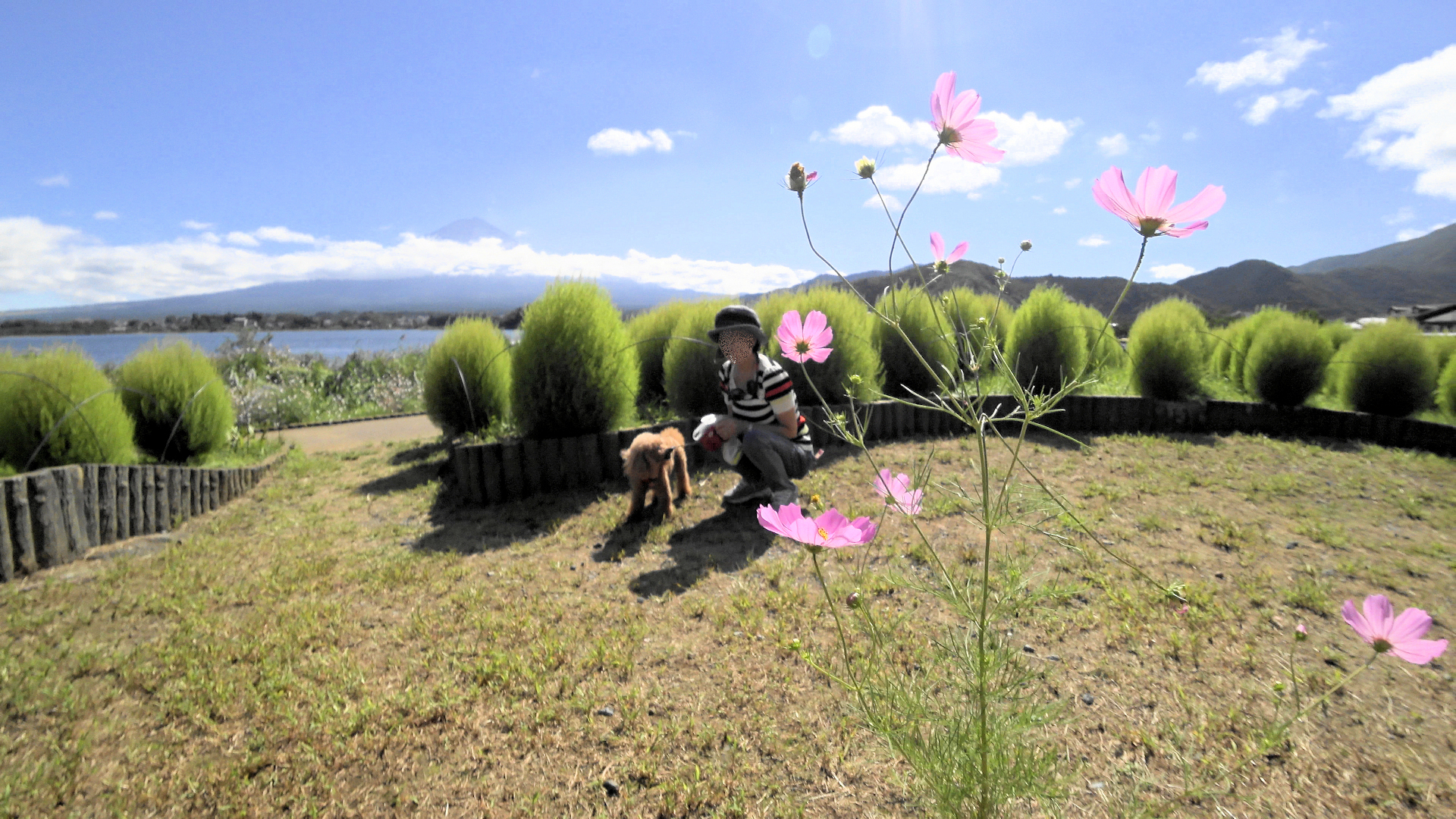 暑過ぎず、何となく公園を散策