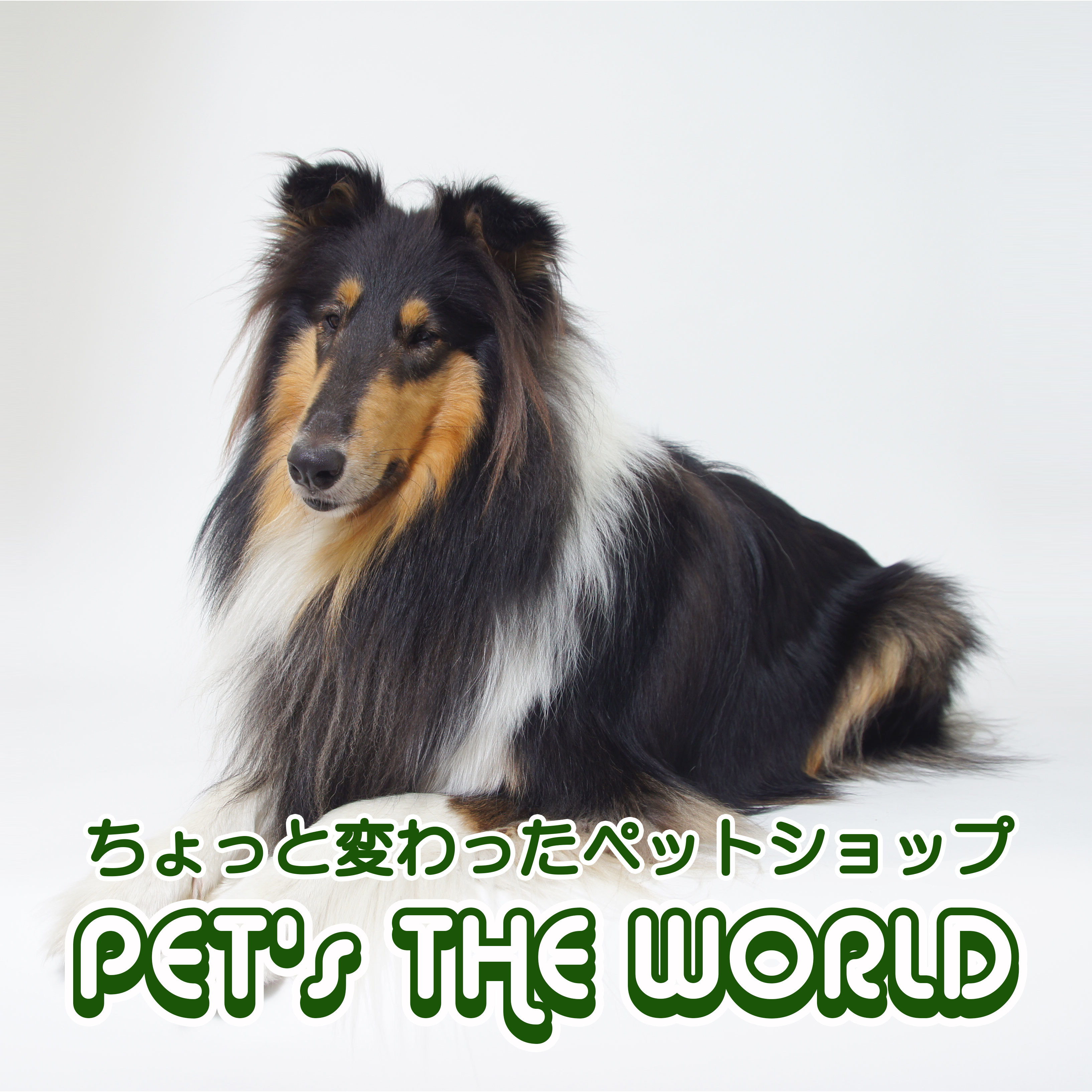 フゥーヘ