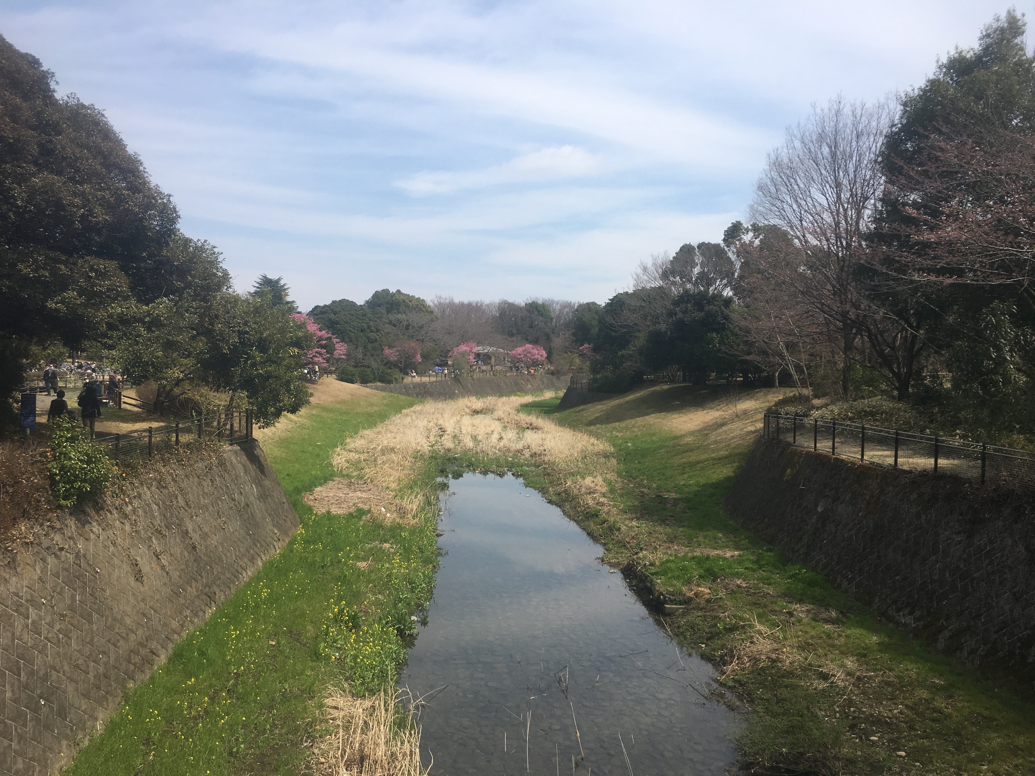 お散歩コースにぴったり