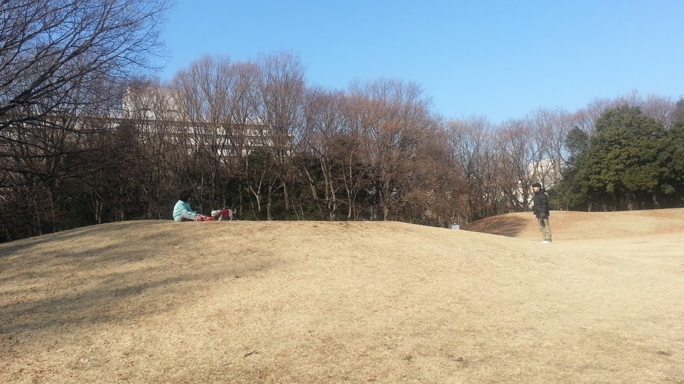 フラットで広〜い公園なので、ゆったりお散歩できます♪