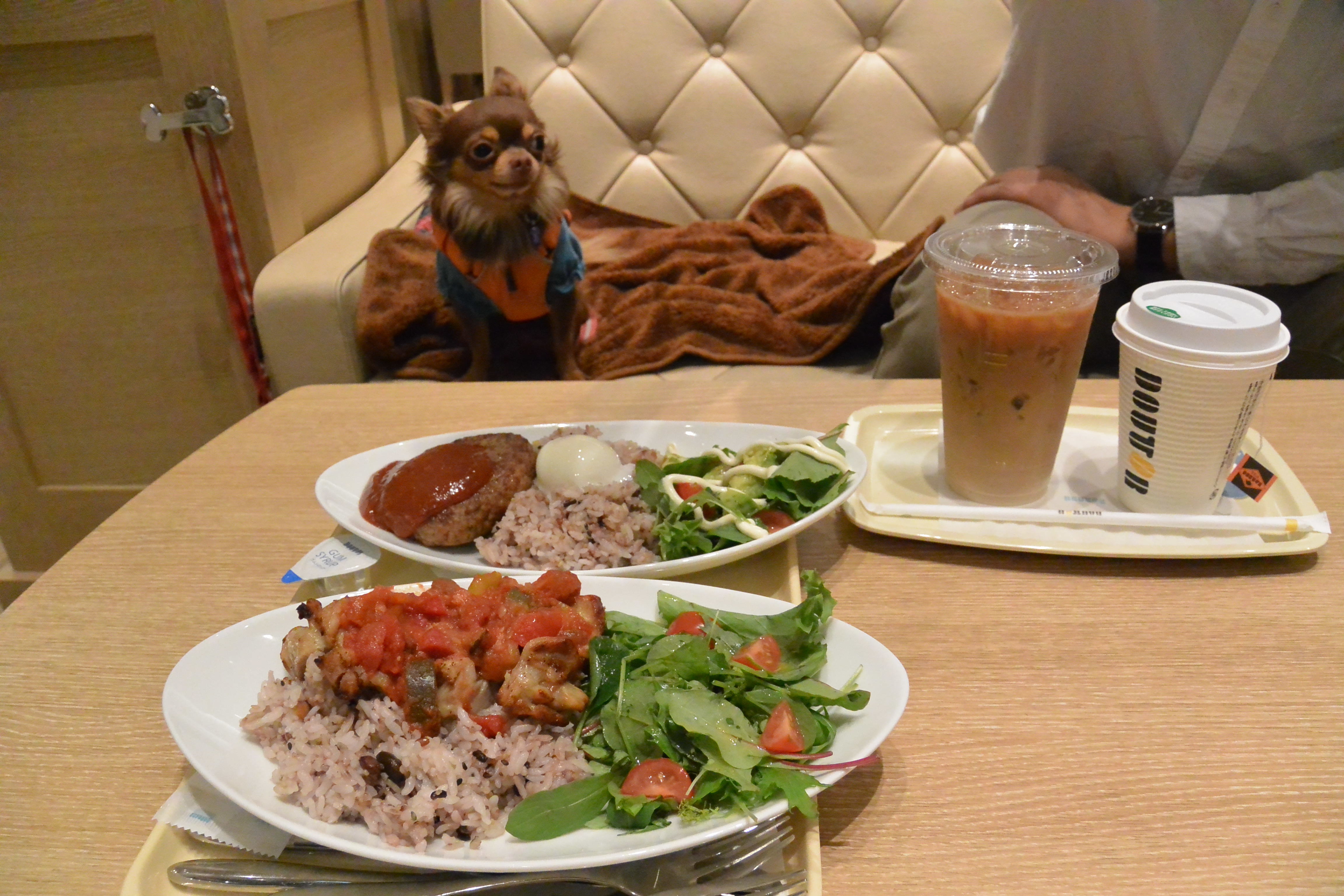 犬連れが多くいるカフェ