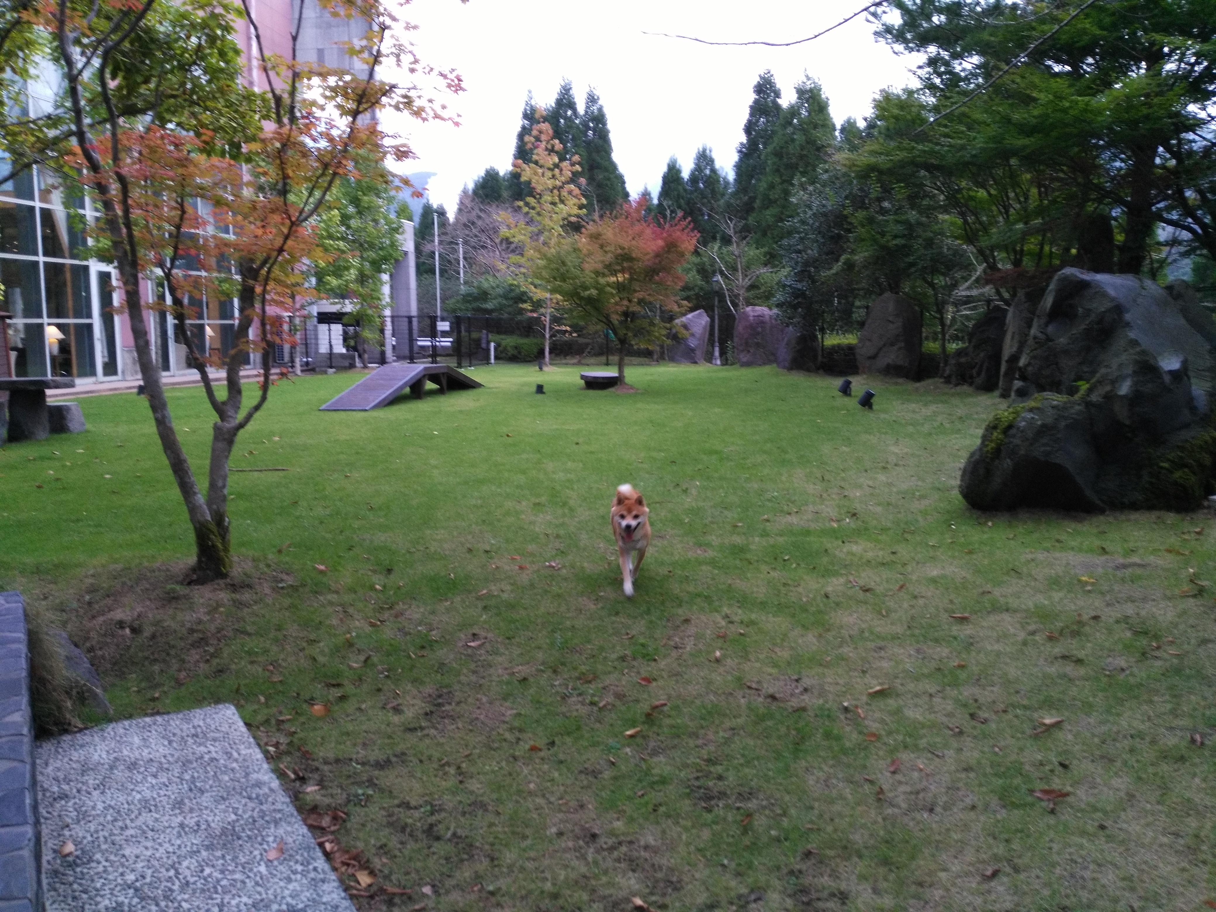 人にも犬にも最高のお宿でした！